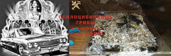 экстази Кодинск