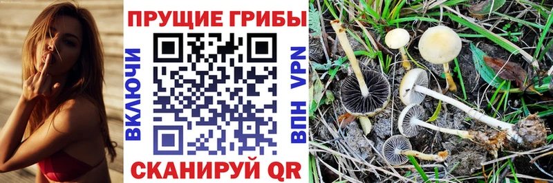 как найти закладки  KRAKEN ссылка  Галлюциногенные грибы ЛСД  Азнакаево 